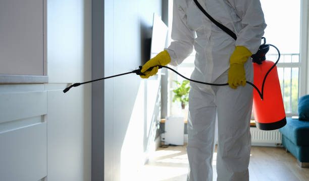 The Cost of Hiring an Exterminator
