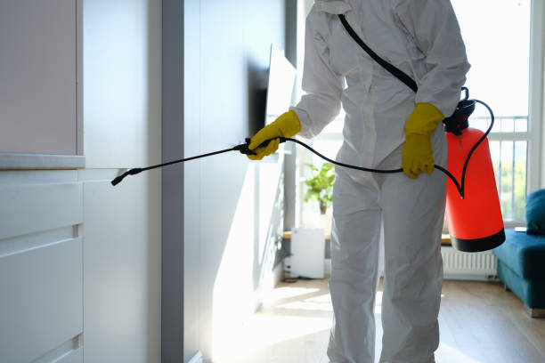 The Cost of Hiring an Exterminator