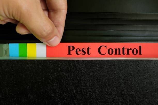 Are There Any DIY Pest Control Methods That are Effective?